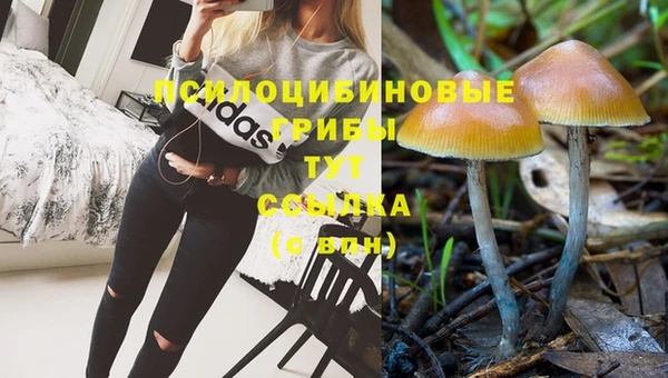 2c-b Лихославль