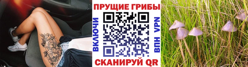 Галлюциногенные грибы ЛСД Иноземцево